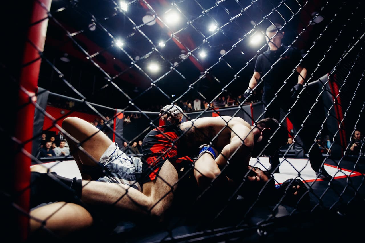 Boxers fighters fight